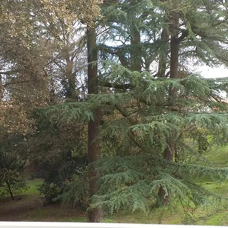 Petite Calme Et Lumineuse منزل للإقامة Saint-Sébastien-sur-Loire