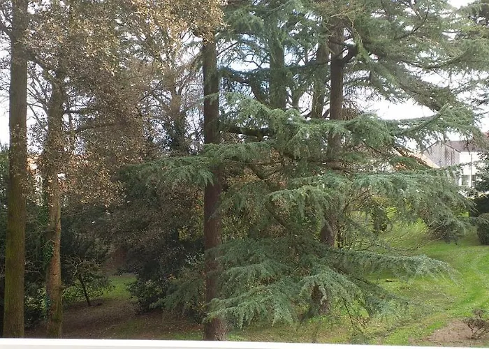 Petite Calme Et Lumineuse Quarto em Acomodações Particulares Saint-Sébastien-sur-Loire
